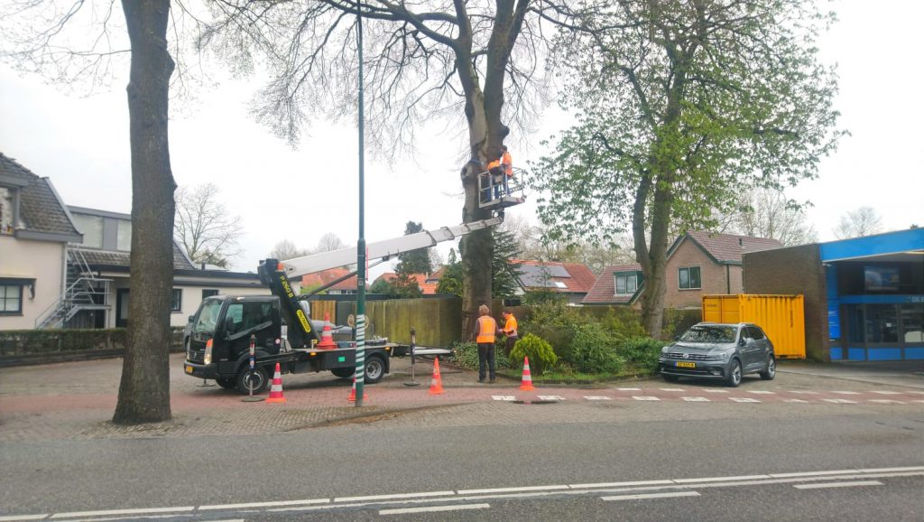 Vellen 8 bomen