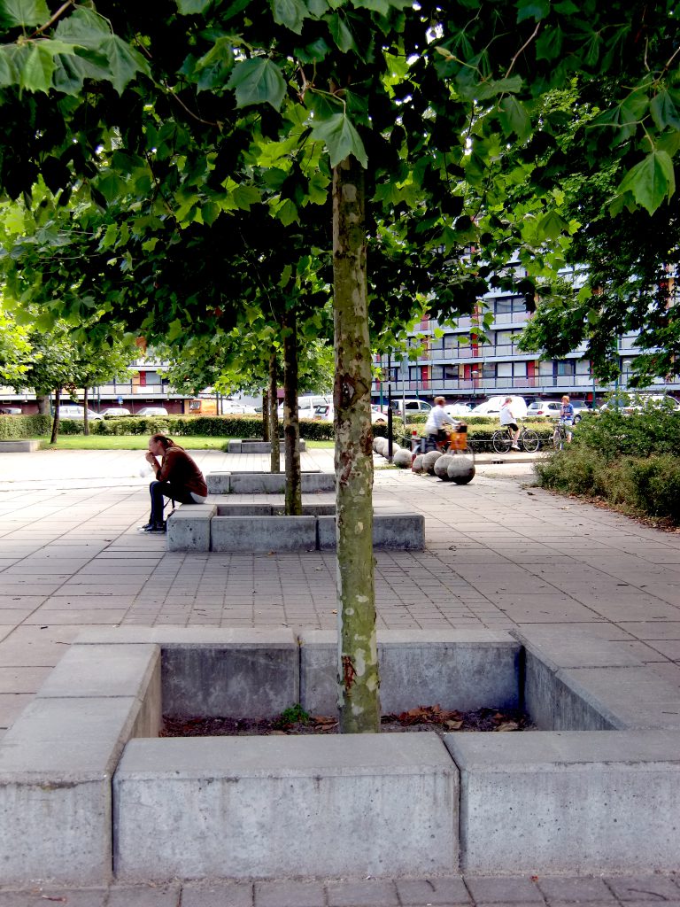 kappen dode en slechte bomen