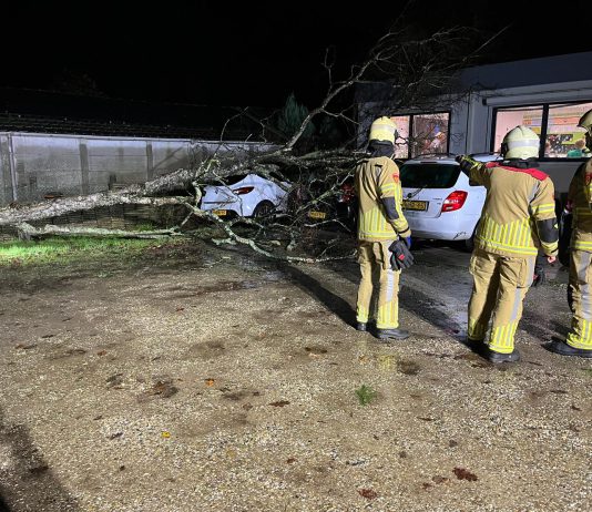 Storm Pia nekt boom Postiljonschool