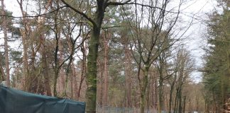 Illegale Dumpingplaag zeisterbos