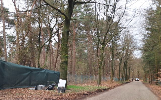 Grof vuil in de bossen van Zeist