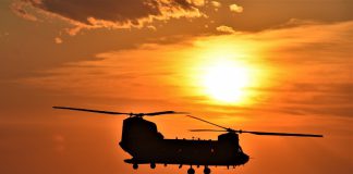 Zomeroffensief in het Nationaal Militair Museum