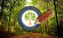 Burgerinitiatief Oude Tempel Soesterberg groeit fors